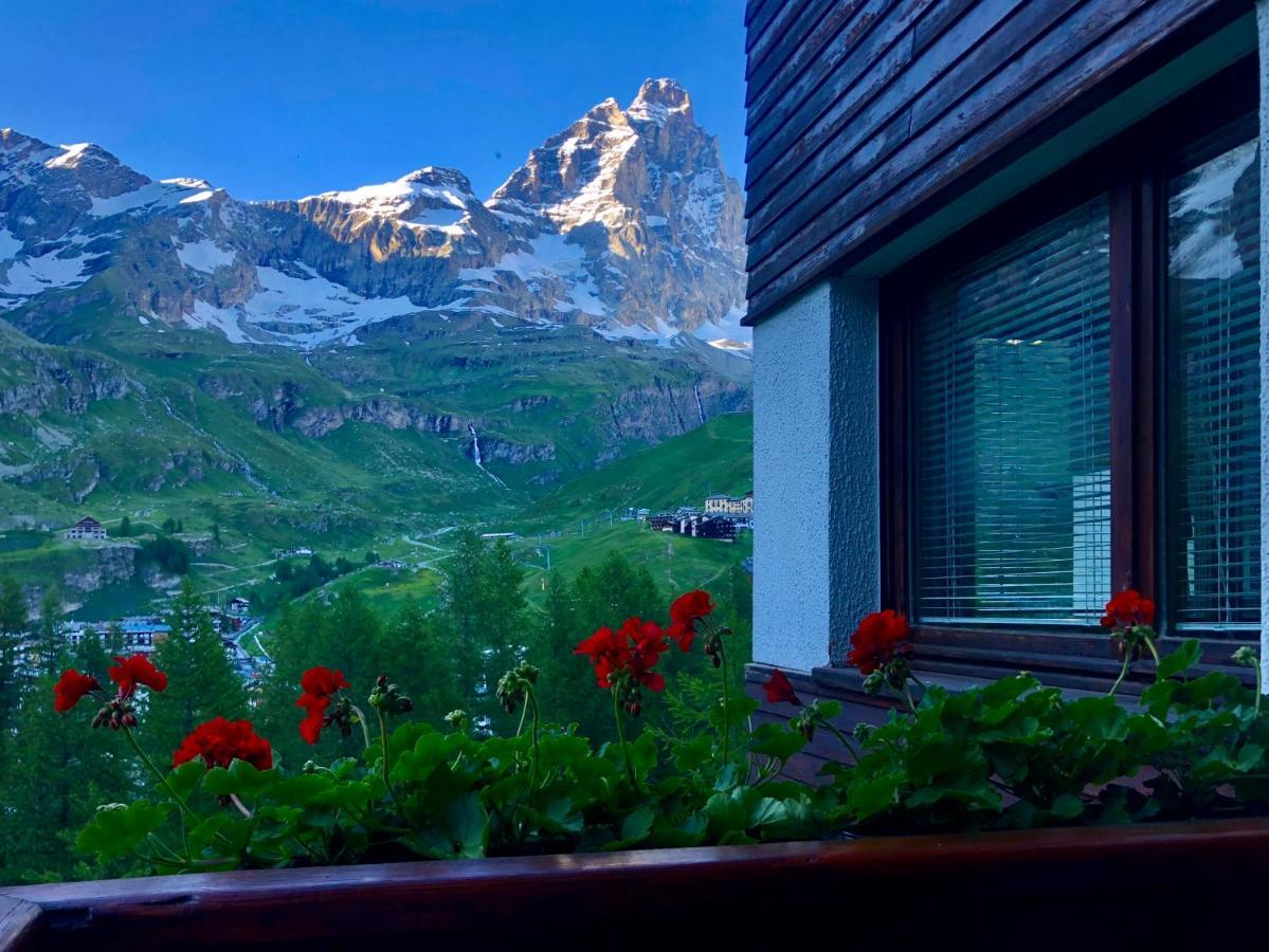 Panoramic Apartment Breuil-Cervinia Exterior foto